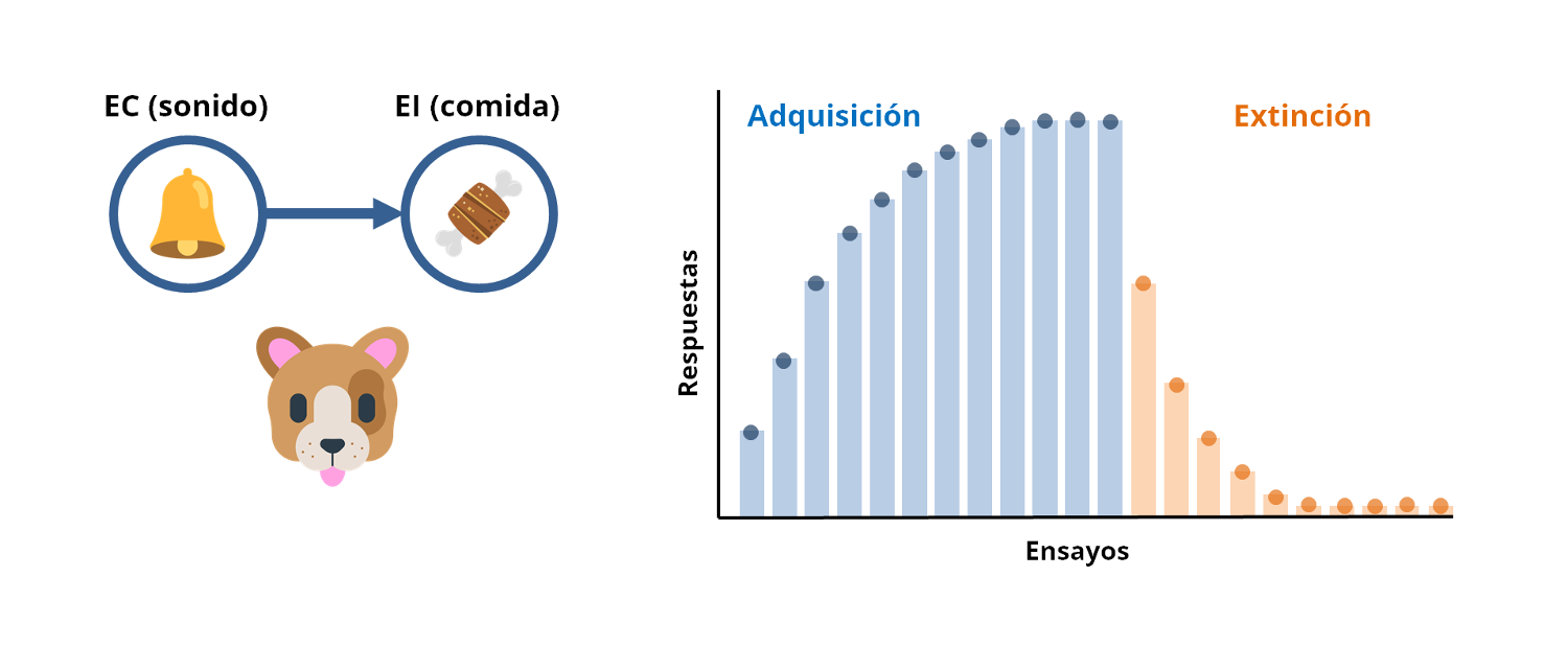Figura 1.- Representación del proceso de aprendizaje por emparejamiento de un EC y un EI, junto con la clásica curva de adquisición y extinción de la respuesta condicionada. 