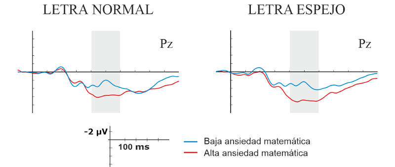 Figura 3.- Promedio de las ondas registradas por el electrodo Pz, para las letras en sus dos formas, presentadas en la condición de máxima rotación (150º). Como se puede apreciar en el intervalo de tiempo sombreado, la positividad de P3b (cuanto más abajo, más positiva) es mayor en el grupo de alta ansiedad matemática (rojo) que en el de baja ansiedad matemática (azul).