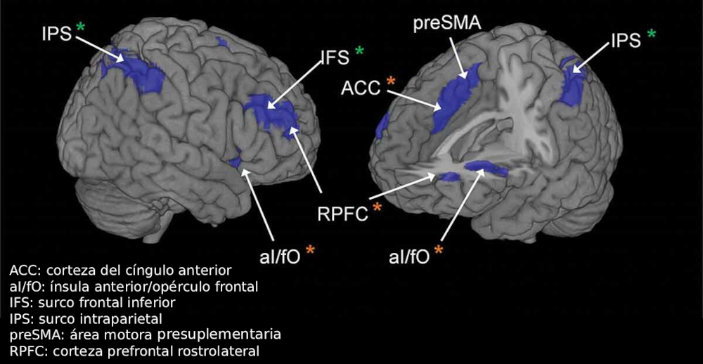 Figura 2. Regiones de la red de demanda múltiple. Los asteriscos naranjas indican regiones de la subred Cíngulo-Opercular asociada al control proactivo, y los asteriscos verdes regiones de la subred Fronto-Parietal asociada al control reactivo. Adaptado de Palenciano et al. (2017).