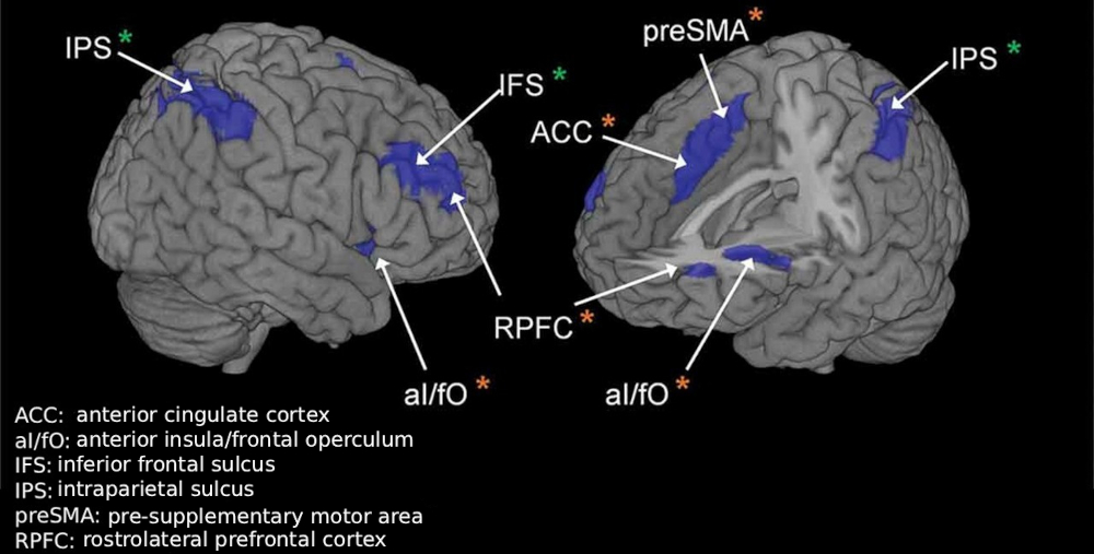 Figure 2. Regions of the multiple demand network. Orange asterisks indicate regions of the Cingulate-Opercular subnetwork associated with proactive control, and green asterisks indicate regions of the Fronto-Parietal subnetwork associated with reactive control. Adapted from Palenciano et al. (2017).
