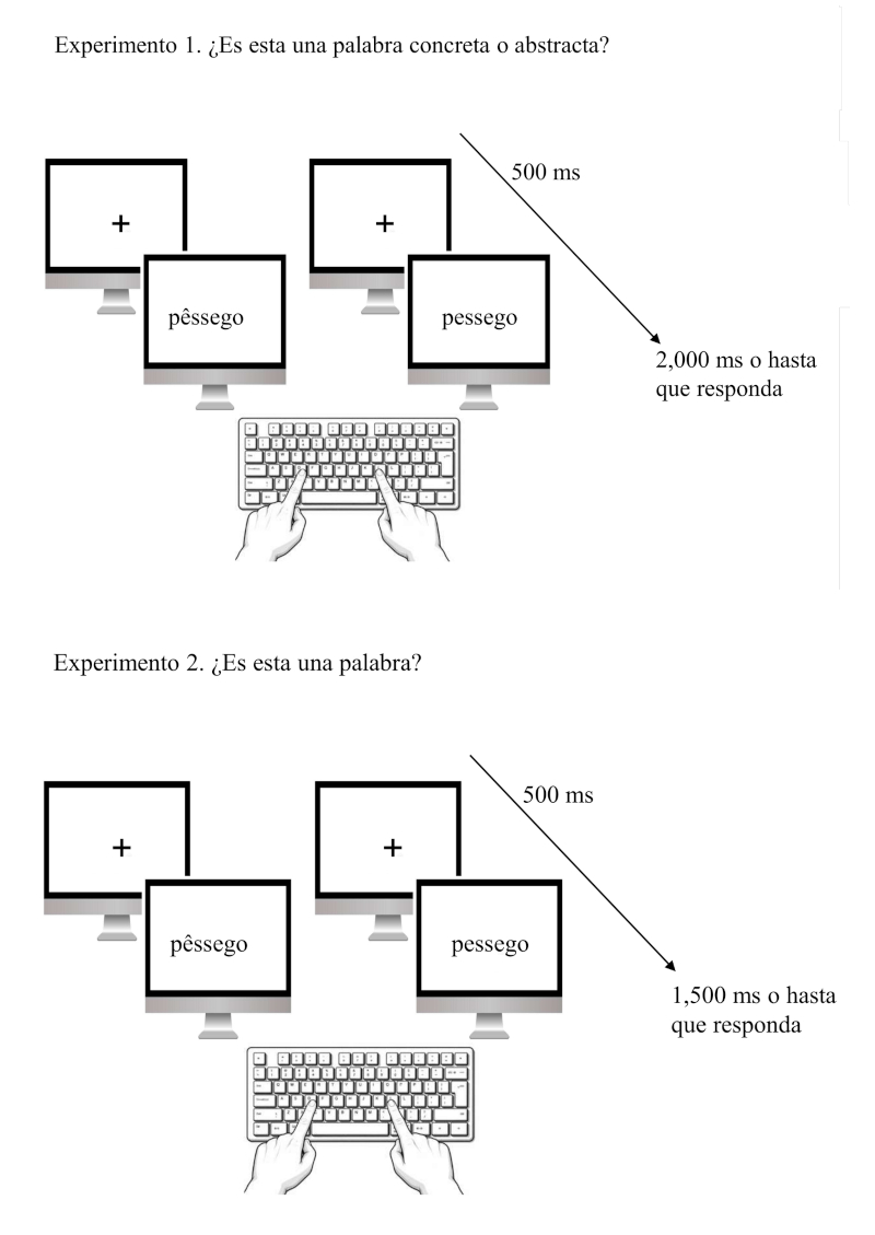 Figura 1. Ejemplo de ensayo en los Experimentos 1 (arriba) y 2 (abajo). La respuesta inicia el siguiente ensayo; si no hay respuesta, aparece tras 2 s. (Exp. 1) o 1.5 s. (Exp. 2).