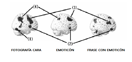 Figura 1