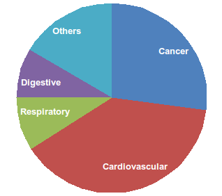 Figure 1.- A pie chart reports the proportion of deaths by cause of death. 