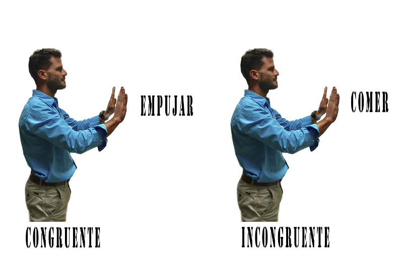 Figura 1.- Ejemplos de ensayos donde el gesto es congruente con la palabra (izquierda) y donde no (derecha).