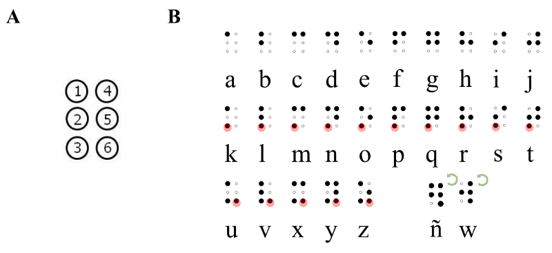 Figura 1.- A) Celda braille y nomenclatura de los puntos. B) Alfabeto braille: la primera fila contiene las posiciones de los puntos que hacen de base; la segunda fila es una copia de la primera a la que se le ha añadido el punto 3; la tercera fila es una copia de la segunda a la que se le ha añadido el punto 6 (las adiciones están señaladas en rojo). Las letras “ñ” y “w” no siguen este patrón porque fueron añadidas al alfabeto posteriormente. Estas dos letras son rotaciones de las letras “q” y “r”, respectivamente.