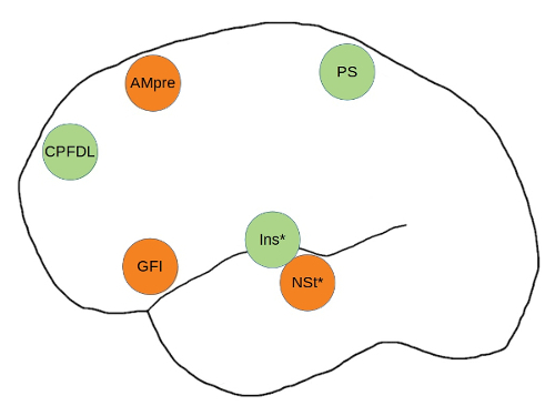 Figura 2.- Representación esquemática simplificada de las posibles áreas cerebrales implicadas en estrategias selectivas. Destacadas en verde se encuentran las regiones reclutadas en la inhibición selectiva que van más allá de las usadas para la inhibición global. AMpre = área motora presuplementaria; CPFDL = corteza prefrontal dorsolateral; GFI = giro frontal inferior; Ins* = ínsula (situada en el interior del cerebro); NSt* = núcleo subtalámico (situado en el interior del cerebro); PS = parietal superior.