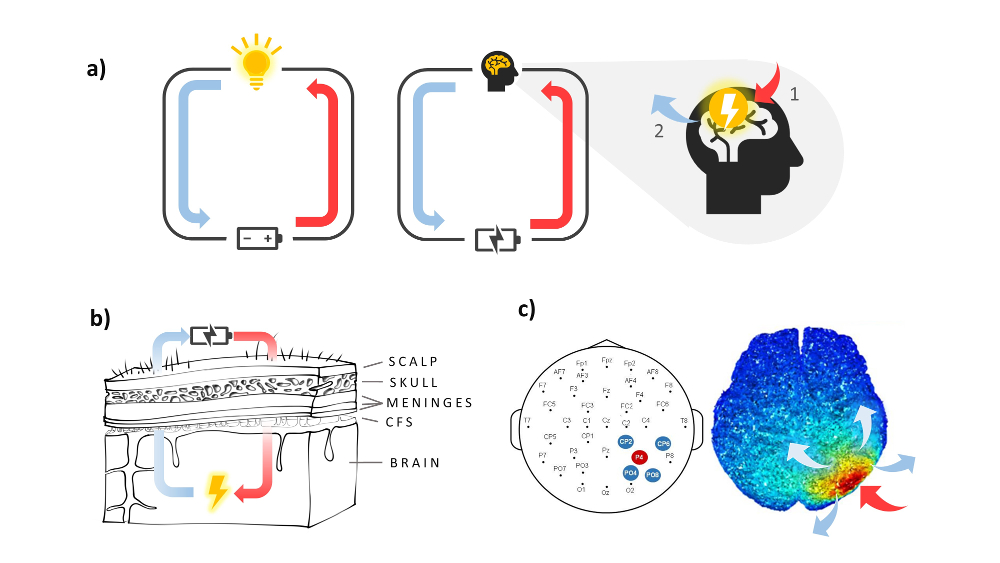 https://www.cienciacognitiva.org/files/2020-19-f1-i.jpg