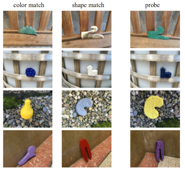 Figure 2.- Example images of the data set. The data consists of image triplets, each of the rows containing an image that matches colour (left column), an image that matches shape (middle column), and the test image (right column). These combinations were used to calculate the shape bias, based on the proportion of times a model assigns the shape-matching class to the test image. (c) Samuel Ritter (DeepMind). Reproduced with permission.
